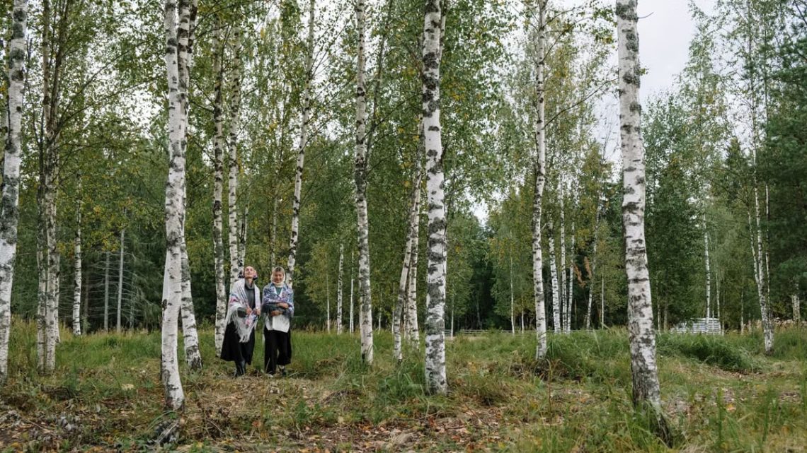 Two women walking in a peaceful birch forest, enjoying the tranquility of nature.