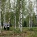 Two women walking in a peaceful birch forest, enjoying the tranquility of nature.